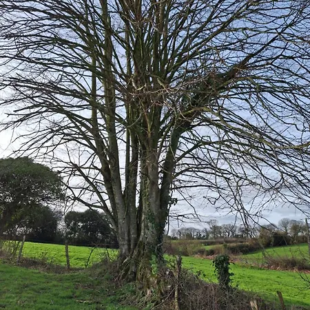 Bed & Breakfast D'hotes A La Ferme Des Gosselins