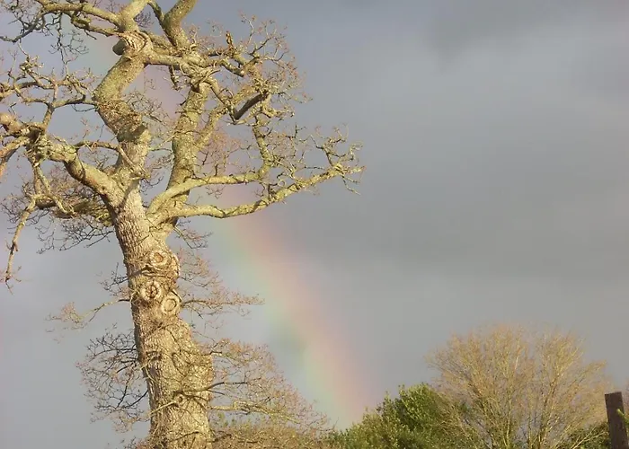 Couette-café D'hotes A La Ferme Des Gosselins *
