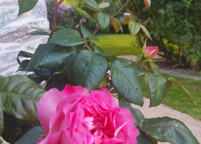 D'hotes A La Ferme Des Gosselins